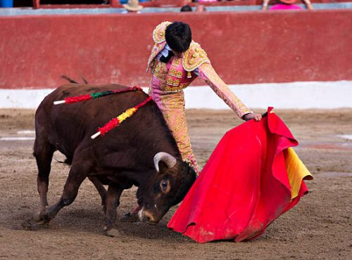 Bullfighter and bull in action. Spain